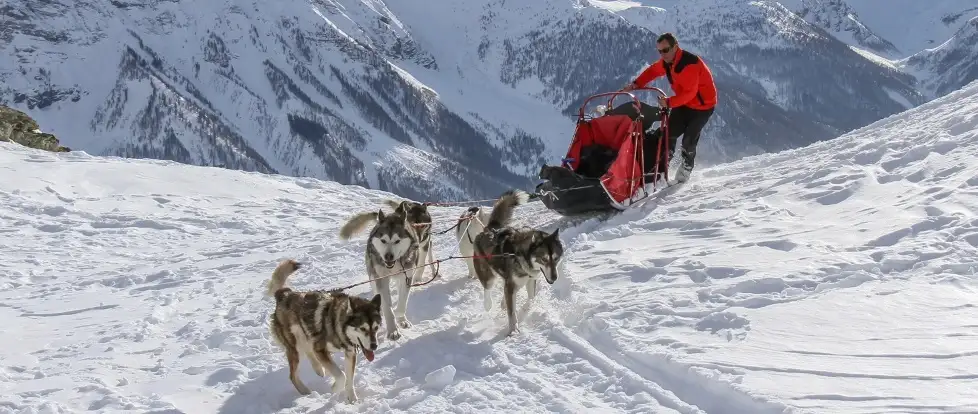 classe de neige saint léger les mélézes