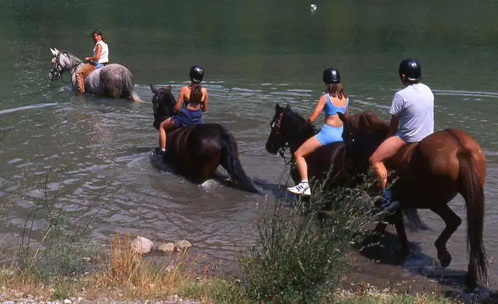 Les activits incontournables dans les Alpes pour un sjour en colonie ou une classe dcouverte
